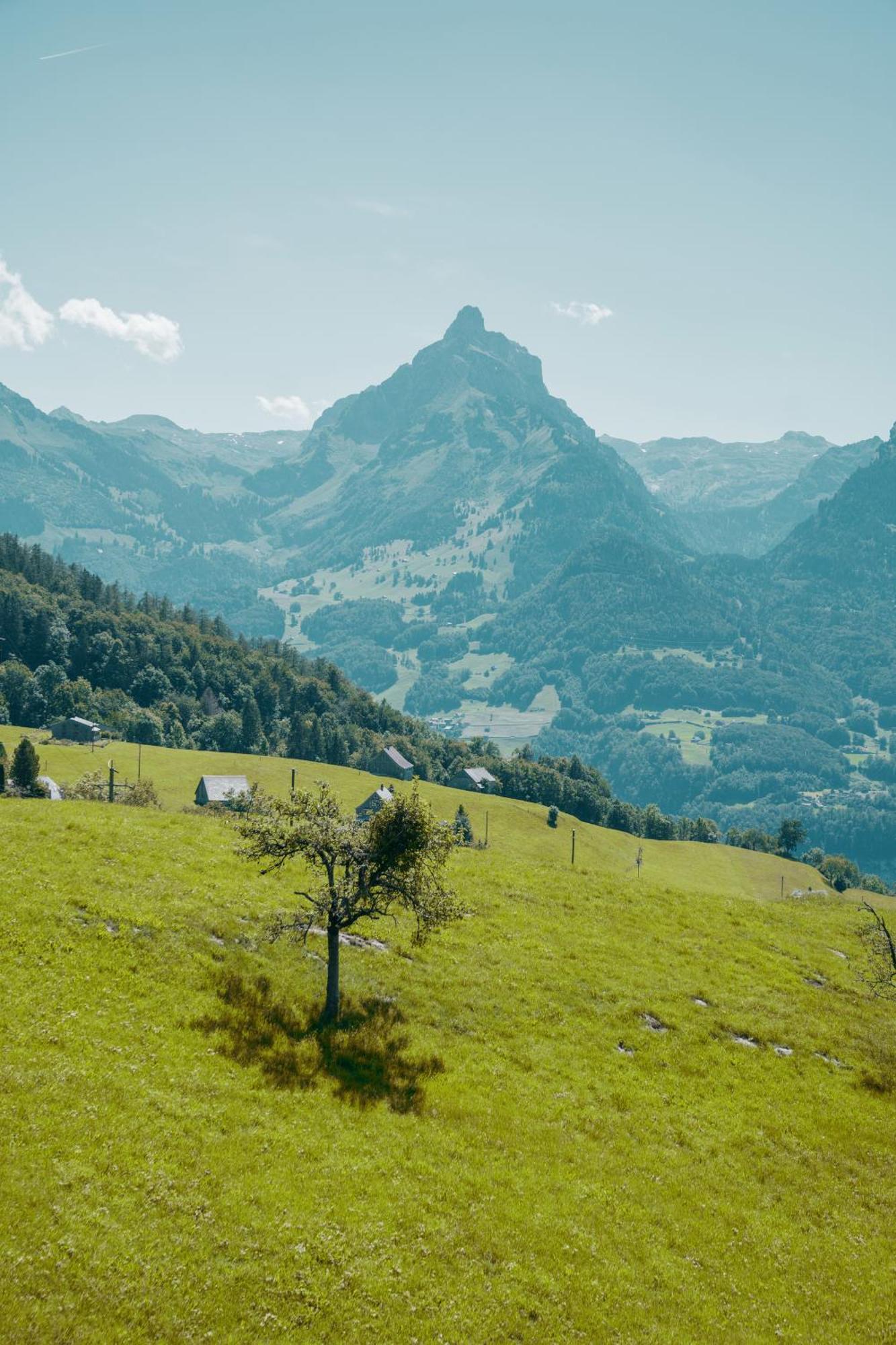 Schwendihaus Apartment อัมเดน ภายนอก รูปภาพ